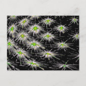 Standard Postkarte (Vorderseite)