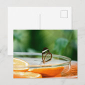 Standard-Postkarte Postkarte (Vorne/Hinten)