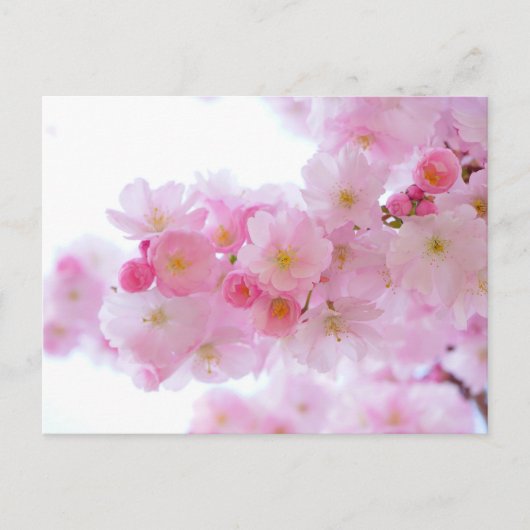 Standard-Postkarte Postkarte (Vorderseite)