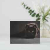 Standard-Postkarte Postkarte (Stehend Vorderseite)