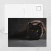 Standard-Postkarte Postkarte (Vorne/Hinten)