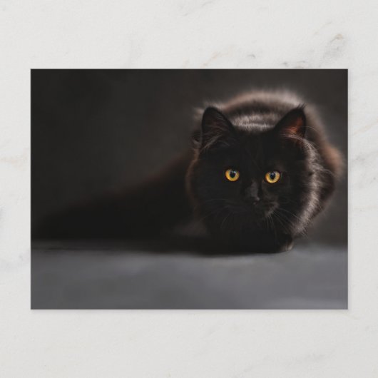 Standard-Postkarte Postkarte (Vorderseite)