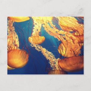 Standard-Postkarte Postkarte