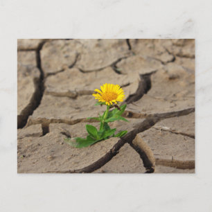 Standard-Postkarte Postkarte
