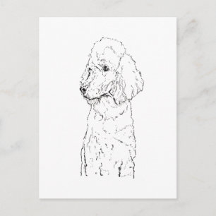 Standard Pudel-Hund-Illustration - Tinten-Kunst Postkarte