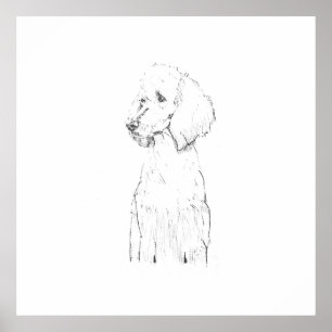 Standard Pudel-Hunde-Illustration  Poster