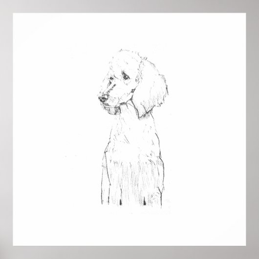 Standard Pudel-Hunde-Illustration Poster (Vorne)