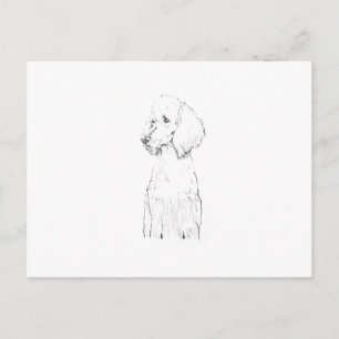 Standard Pudel-Hunde-Illustration  Postkarte