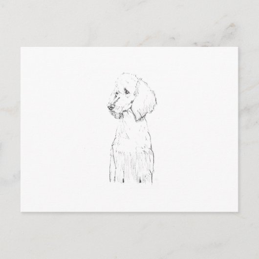 Standard Pudel-Hunde-Illustration  Postkarte (Vorderseite)