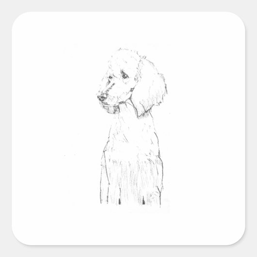 Standard Pudel-Hunde-Illustration  Quadratischer Aufkleber (Vorderseite)