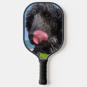 Standard Pudel Pickleball Schläger (Rückseite)