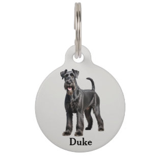 Standard (Riese) Schnauzer personalize Haustiermarke