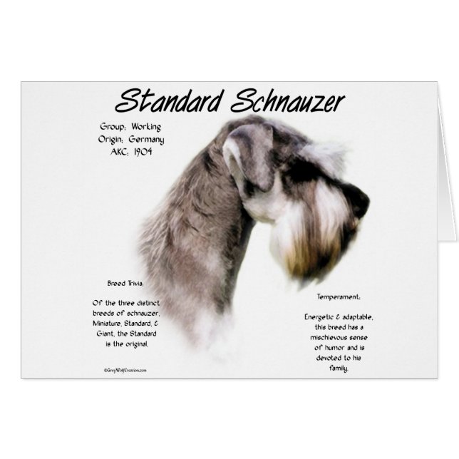 Standard Schnauzer History Design (Vorderseite (Horizontal))