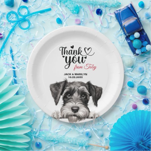 Standard Schnauzer Pappteller (Party)