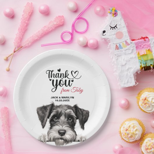 Standard Schnauzer Pappteller (Party)