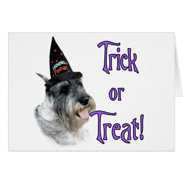 Standard Schnauzer Trick (Vorderseite (Horizontal))