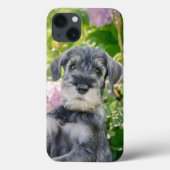 Standard Schnauzer Welpe im blühenden Garten - Case-Mate iPhone Hülle (Rückseite)