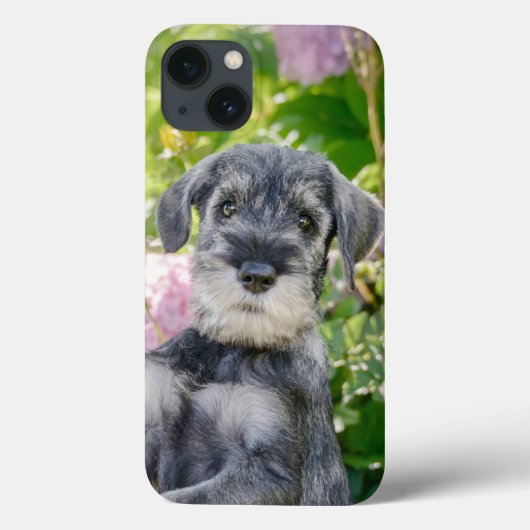 Standard Schnauzer Welpe im blühenden Garten -  Case-Mate iPhone Hülle (Rückseite)