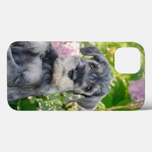 Standard Schnauzer Welpe im blühenden Garten -  Case-Mate iPhone Hülle (Rückseite (Horizontal))