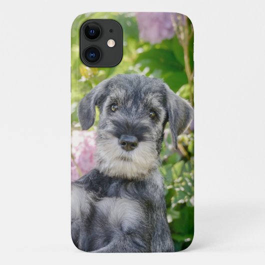 Standard Schnauzer Welpe im blühenden Garten - Case-Mate iPhone Hülle (Rückseite)