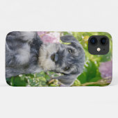 Standard Schnauzer Welpe im blühenden Garten - Case-Mate iPhone Hülle (Rückseite (Horizontal))