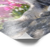 Standard Schnauzer Welpe im blühenden Garten - Fotodruck (Ecke)