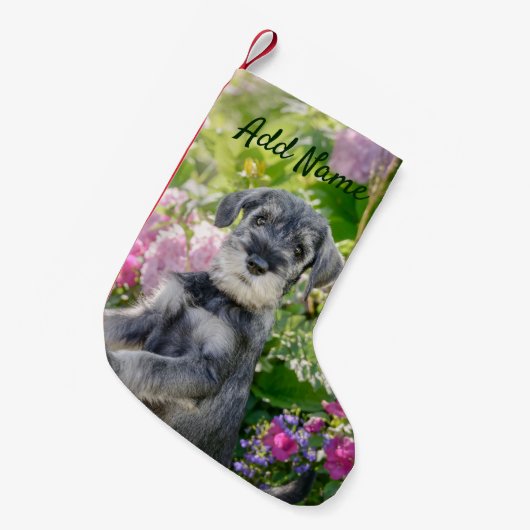 Standard Schnauzer Welpe im blühenden Garten - Kleiner Weihnachtsstrumpf (Vorderansicht (hängend))