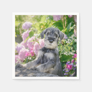 Standard Schnauzer Welpe im blühenden Garten - Serviette