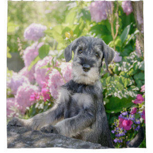Standard Schnauzer Welpe in einem blühenden Garte Duschvorhang