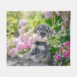 Standard Schnauzer Welpe in einem blühenden Garte Fleecedecke