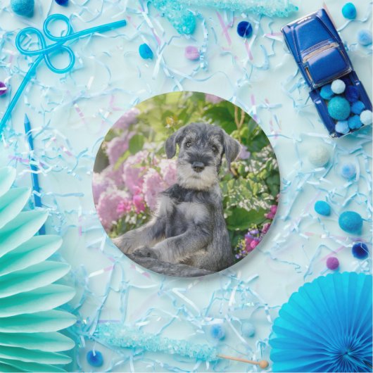 Standard Schnauzer Welpe in einem blühenden Garten Pappteller (Party)