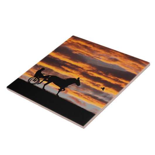 Standard-Trotting-Keramik Fliese (Seite)