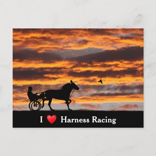 Standard-Trotting-Racehorse-Postkarte Postkarte (Vorderseite)
