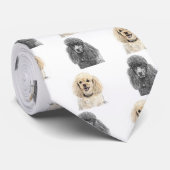 Standard- und Miniaturpudel-Krawatte Krawatte (Gerollt)