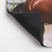 Standardbred Pferd, das Mousepad galoppiert (Ecke)