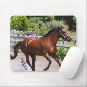 Standardbred Pferd, das Mousepad galoppiert (Mit Mouse)
