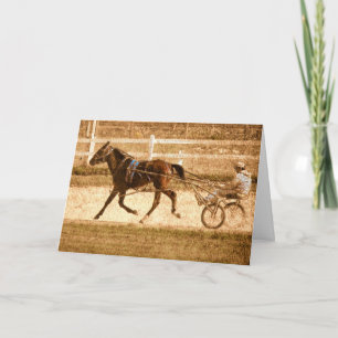 Standardbred Rennpferd, Schmutz Karte