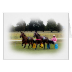 Standardbreds an der Rennbahn