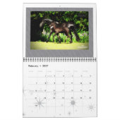 Standardgröße des friesischen PferdeFotos Kalender (Feb 2027)