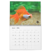 Standardgröße GEDIEGENES GOLD Goldfisch-Kalender Kalender (Mär 2026)