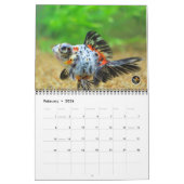 Standardgröße GEDIEGENES GOLD Goldfisch-Kalender Kalender (Feb 2026)