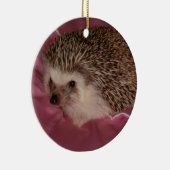 StandardIgelsverzierung Keramik Ornament (Rechts)