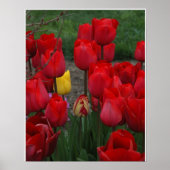 Standardisierung Poster (Vorne)