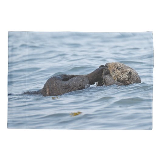Standardmücke für Otter Kissenbezug (Rückseite)
