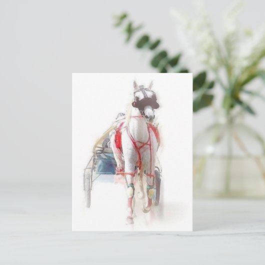 Standardpferd Postkarte (Stehend Vorderseite)