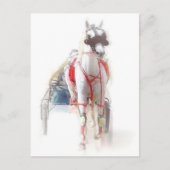 Standardpferd Postkarte (Vorderseite)