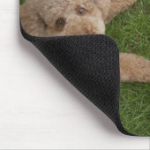 Standardpoodle 2 mousepad (Ecke)