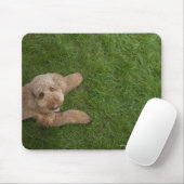 Standardpoodle 2 mousepad (Mit Mouse)