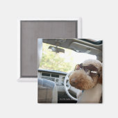 Standardpoodle 3 magnet (Vorderseite/Rückseite)