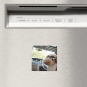 Standardpoodle 3 magnet (In Situ (Geschirrspüler))